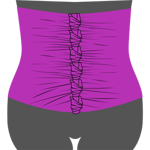 belly-wrap belly-wrap